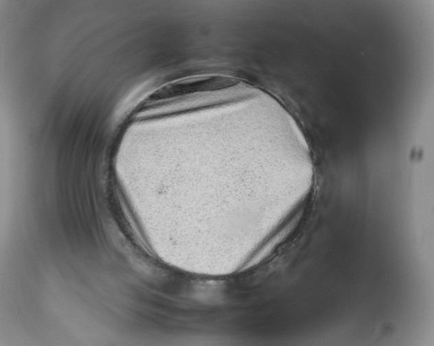 X0000112510053200909141209