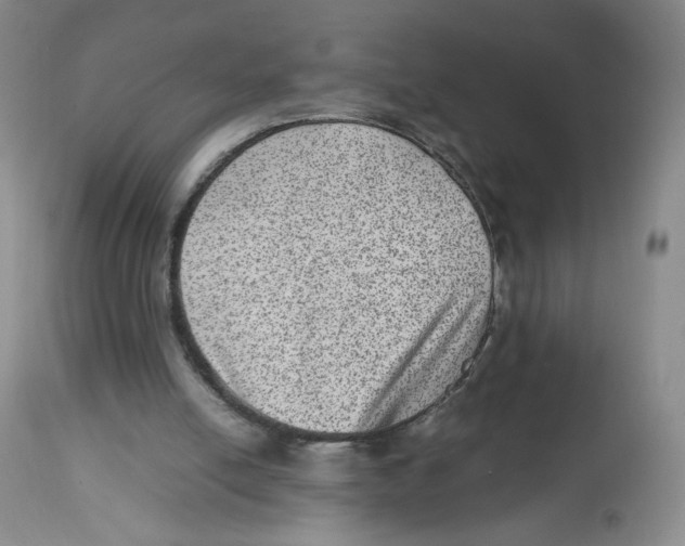 X0000112510054200909141209