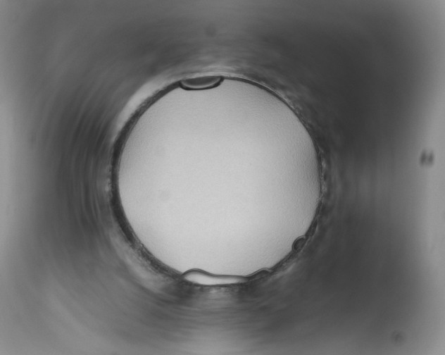 X0000112510056200909141209