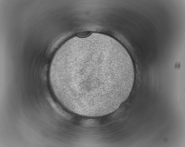 X0000112510058200909141209