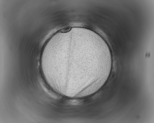 X0000112510059200909141209