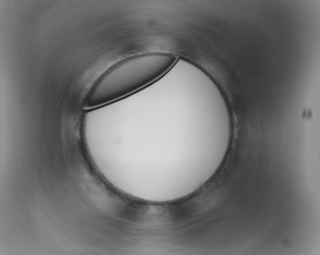 X0000112510060200909141209