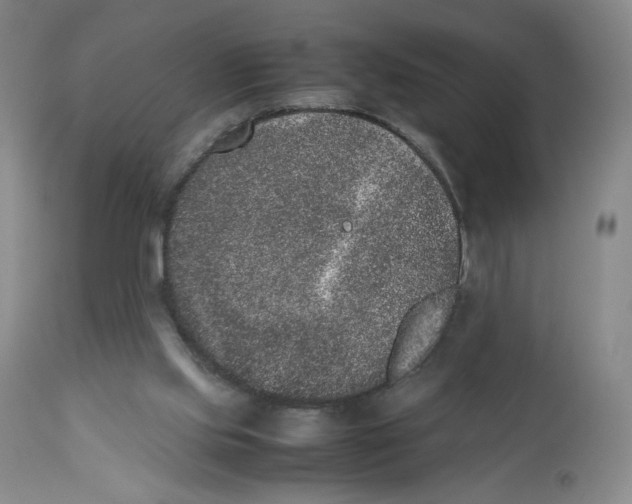 X0000112510061200909141209