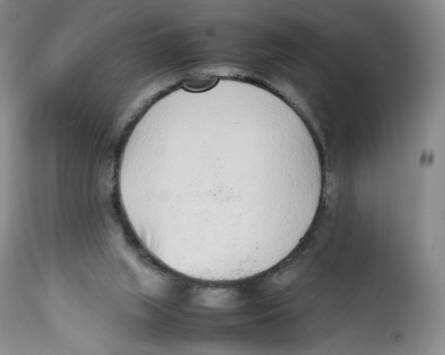 X0000112510063200909141209