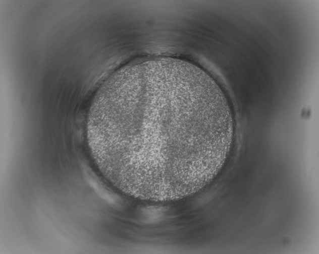 X0000112510065200909141209