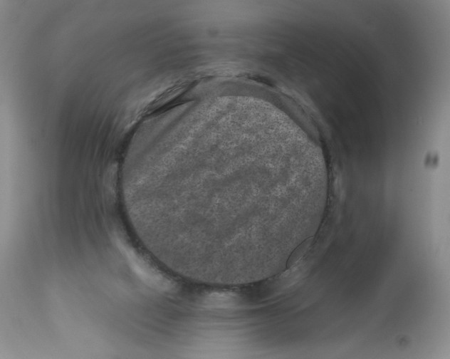 X0000112510066200909141209