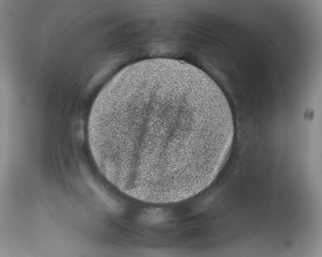 X0000112510067200909141209