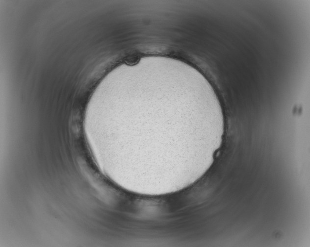 X0000112510069200909141209