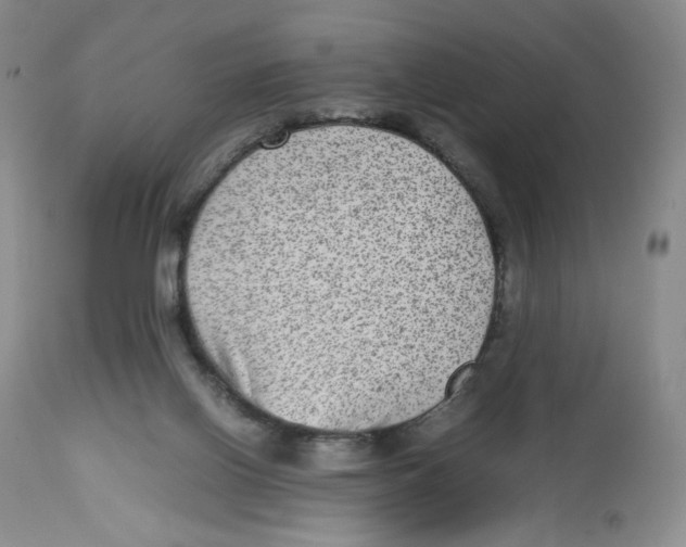 X0000112510070200909141209