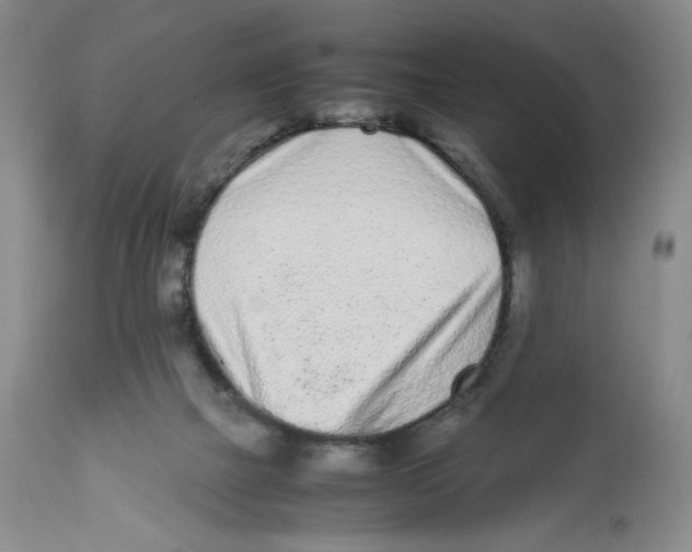 X0000112510073200909141209