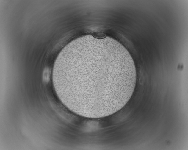 X0000112510075200909141209