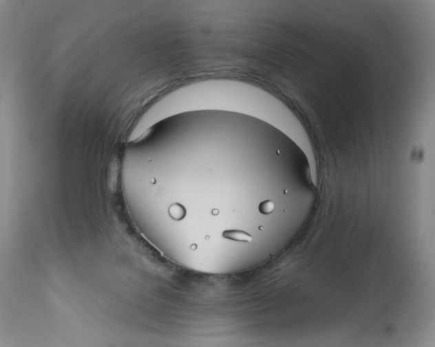 X0000112510076200909141209