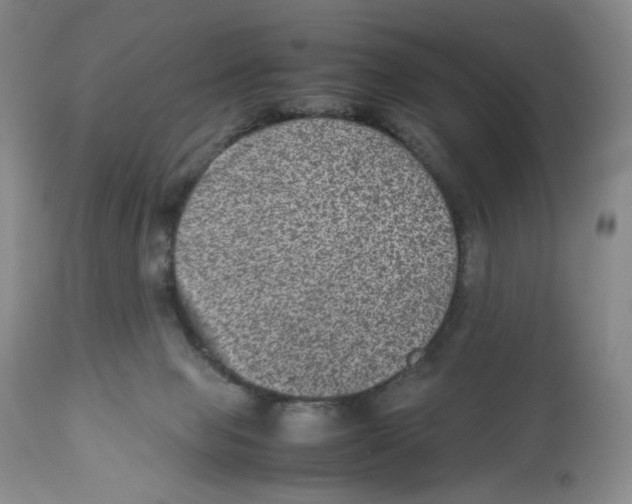 X0000112510077200909141209