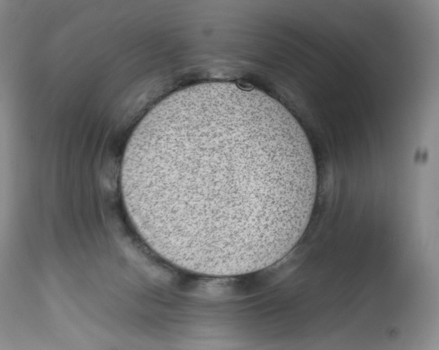 X0000112510078200909141209