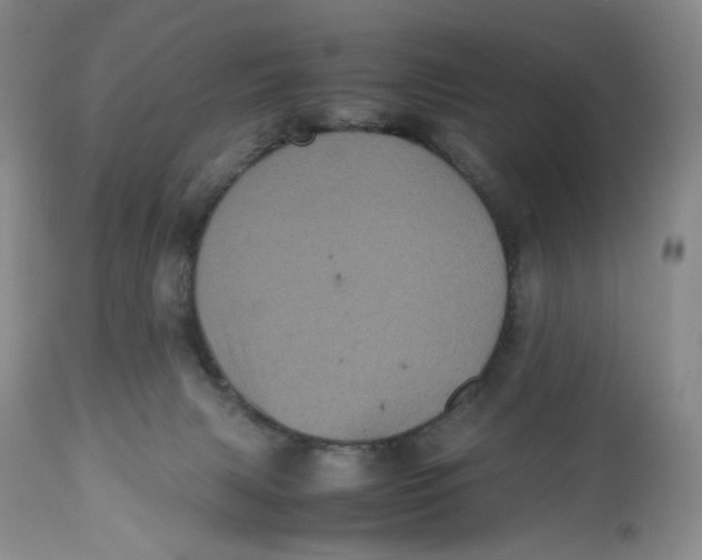 X0000112510079200909141209