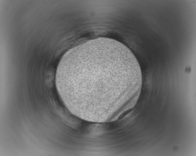 X0000112510082200909141209