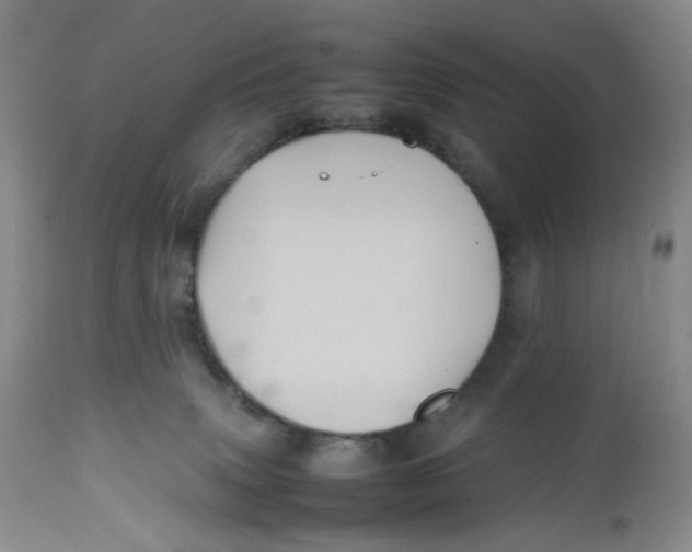 X0000112510083200909141209