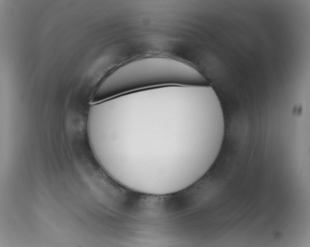 X0000112510084200909141209