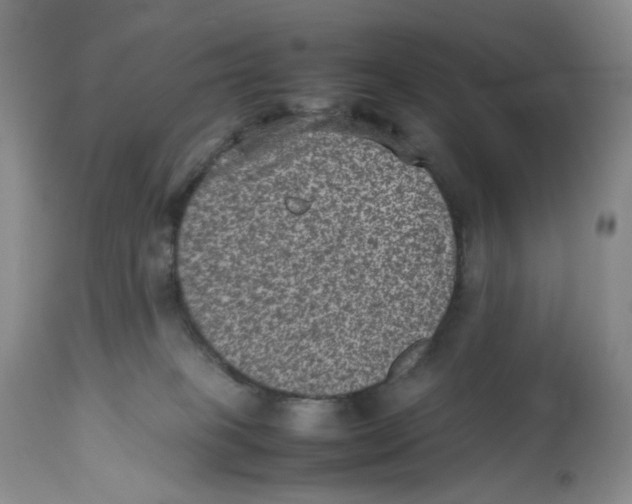 X0000112510085200909141209