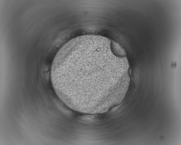 X0000112510086200909141209