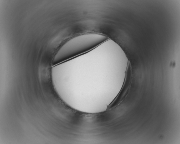 X0000112510088200909141209