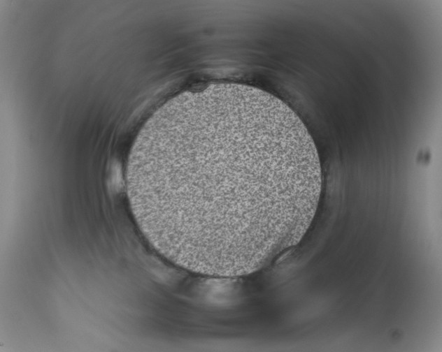 X0000112510089200909141209