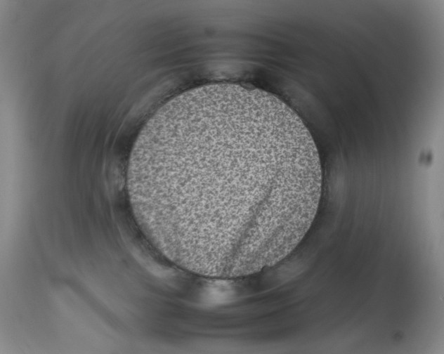 X0000112510091200909141209