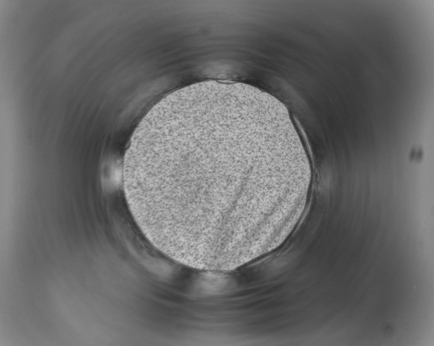 X0000112510095200909141209