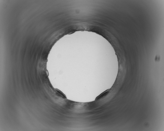 X0000112510096200909141209