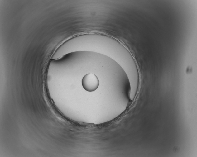 X0000112510097200909141209