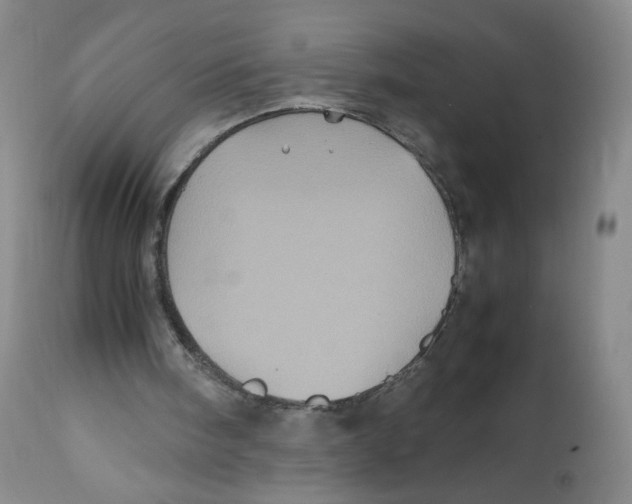 X0000112510098200909141209