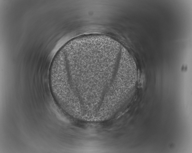 X0000112510099200909141209