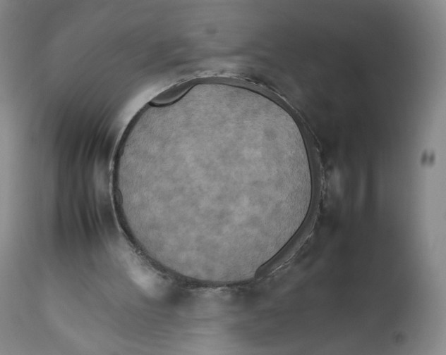 X0000112510100200909141209