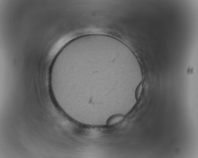 X0000112510103200909141209