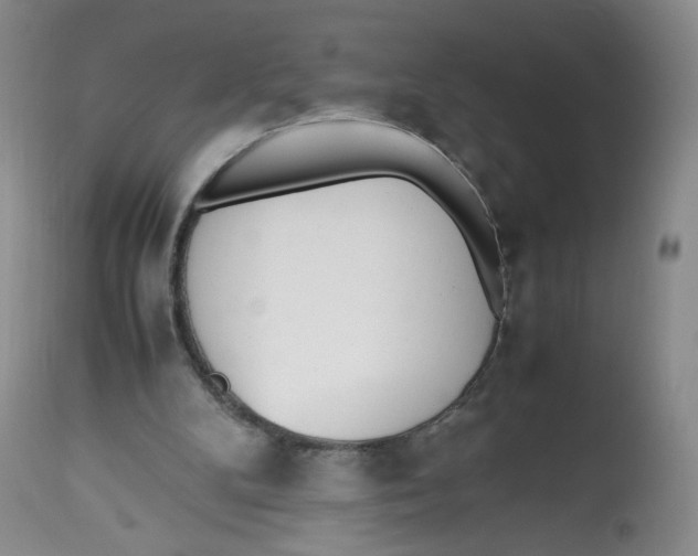 X0000112510104200909141208