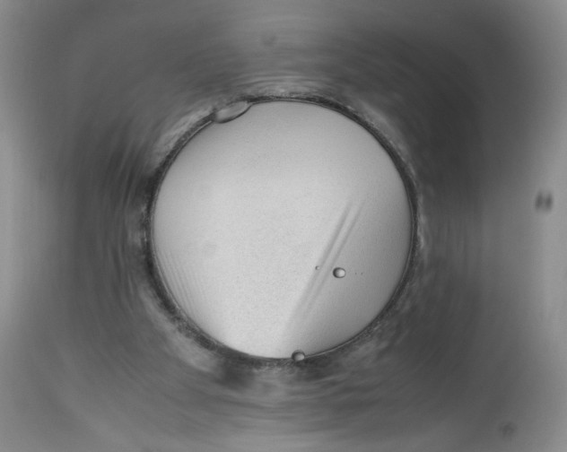 X0000112510105200909141208