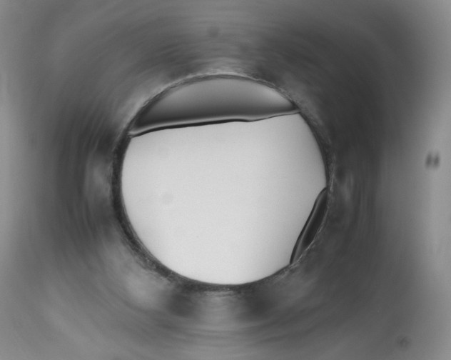 X0000112510108200909141208