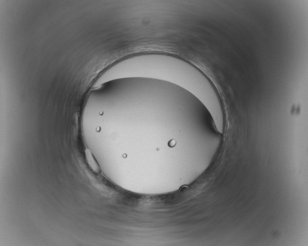 X0000112510109200909141208