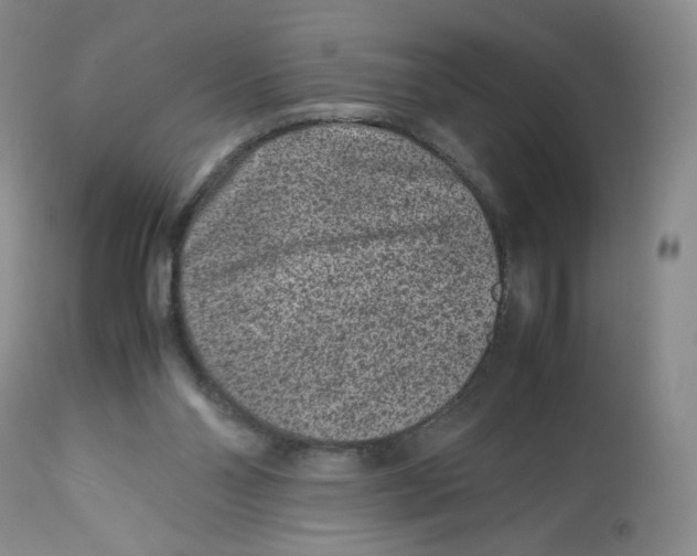 X0000112510110200909141208