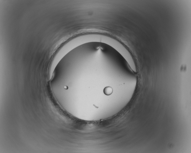 X0000112510111200909141208