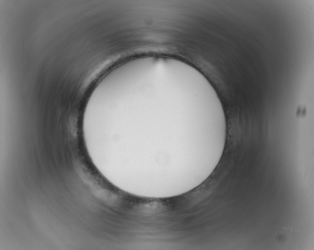 X0000112510112200909141208