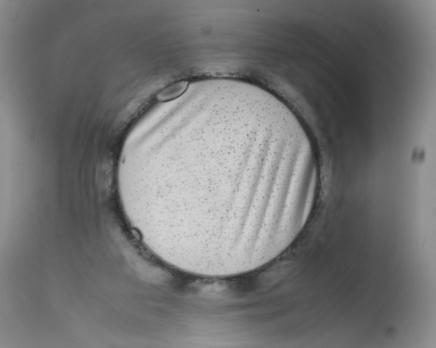 X0000112510113200909141208