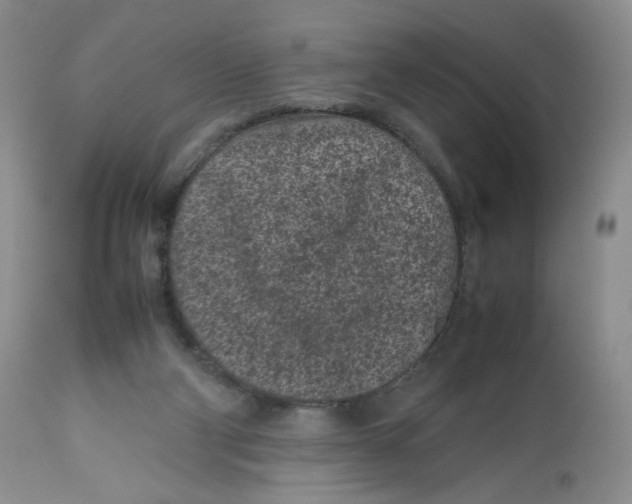 X0000112510114200909141208