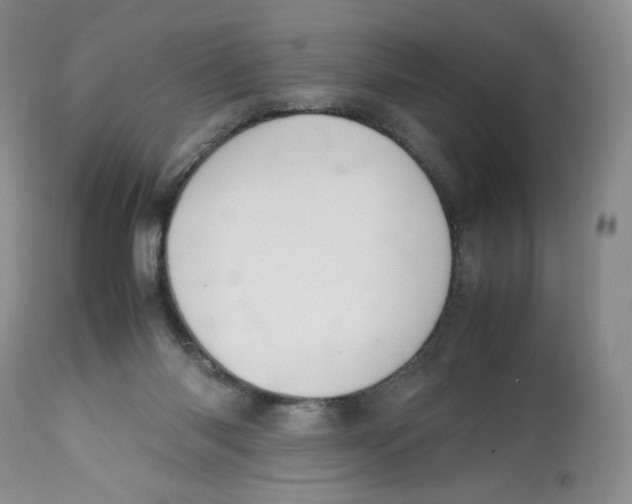 X0000112510118200909141208