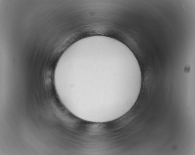 X0000112510122200909141208