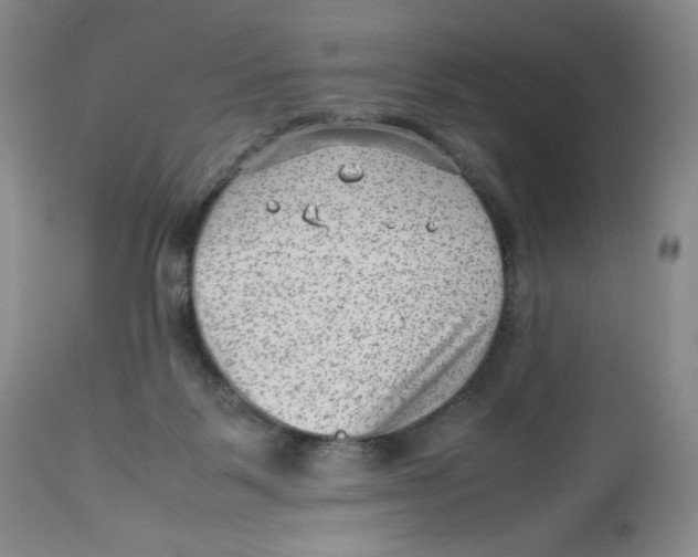 X0000112510123200909141208