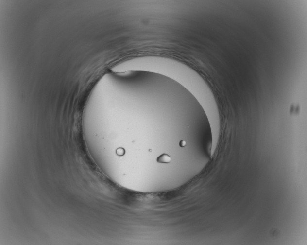 X0000112510125200909141208