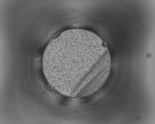 X0000112510127200909141208