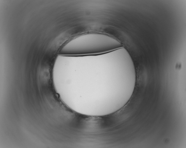 X0000112510128200909141208