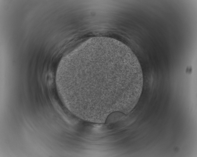 X0000112510130200909141208